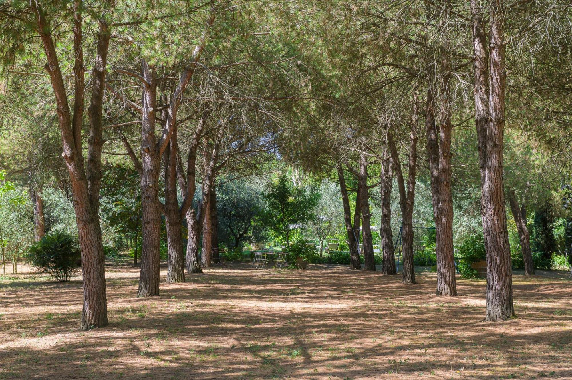 Villa Vignacce - Boutique Country Resort Bettolle Exterior foto